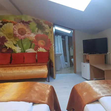 Pensiunea Paloma 3 Stele Pensionat Braşov