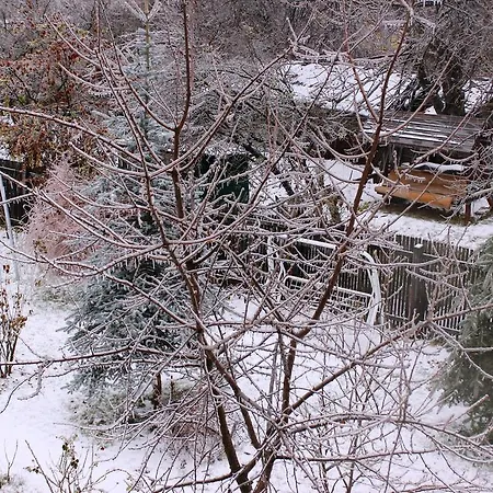 Pensionat Pensiunea Paloma 3 Stele