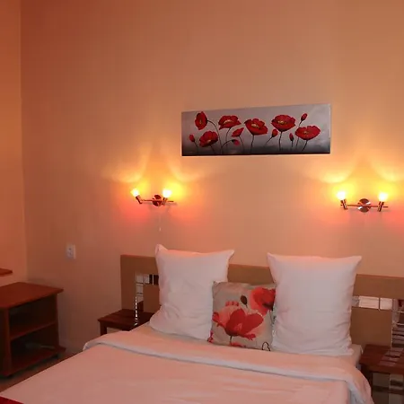 Pensionat Pensiunea Paloma 3 Stele Braşov