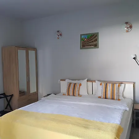 Pensiunea Paloma בית הארחה