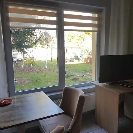 בית הארחה Pensiunea Paloma