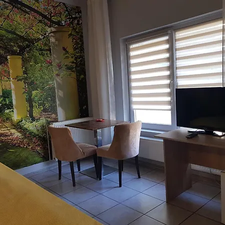 בית הארחה Pensiunea Paloma 3*