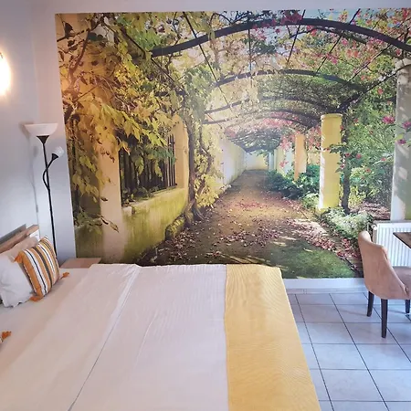 בית הארחה Pensiunea Paloma בראשוב