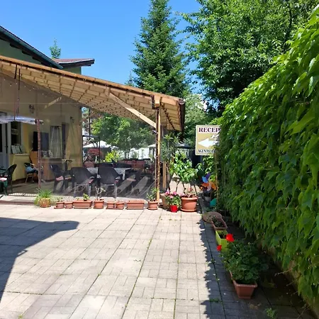 בית הארחה Pensiunea Paloma