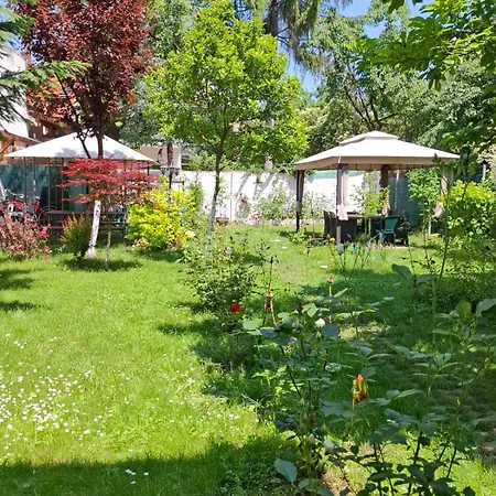 Gasthof Pensiunea Paloma 3 Stele 3*