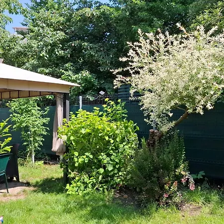 Pensiunea Paloma 3* בראשוב