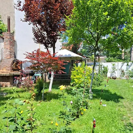 Pensiunea Paloma 3 Stele