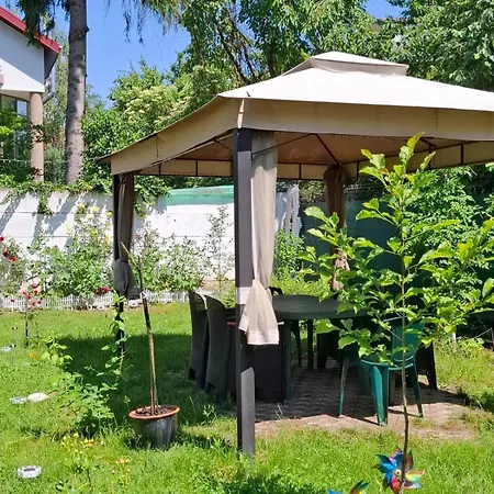 Pensiunea Paloma בית הארחה