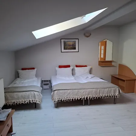 בית הארחה Pensiunea Paloma 3*