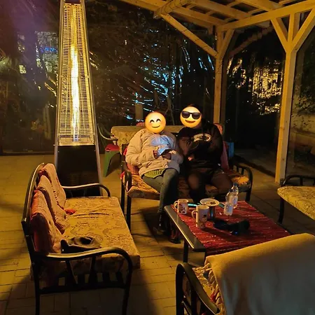 Pensiunea Paloma בית הארחה 3*