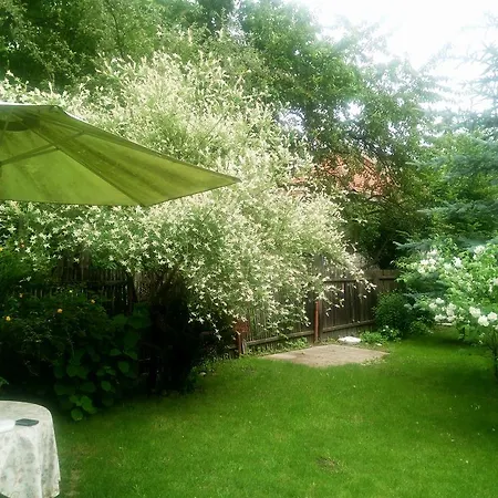 Pensiunea Paloma 3 Stele