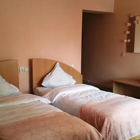 Pensiunea Paloma 3*