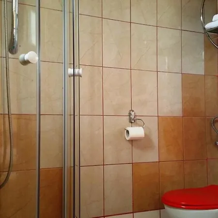 Pensiunea Paloma בית הארחה 3*