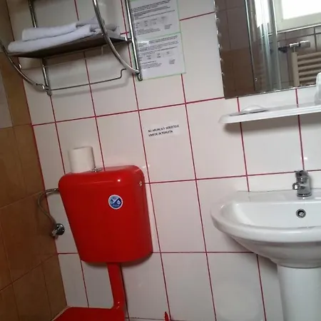 Pensiunea Paloma 3 Stele Pensionat Braşov