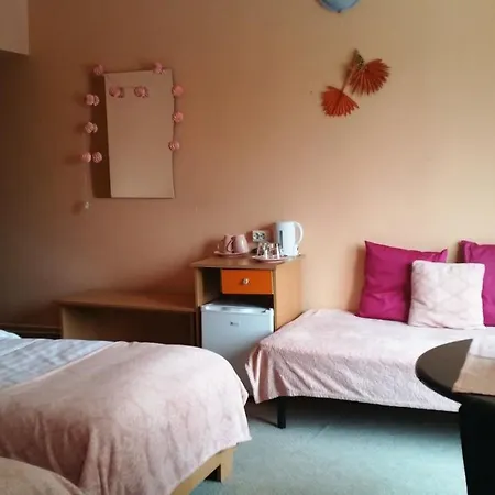 Pensionat Pensiunea Paloma 3 Stele Braşov