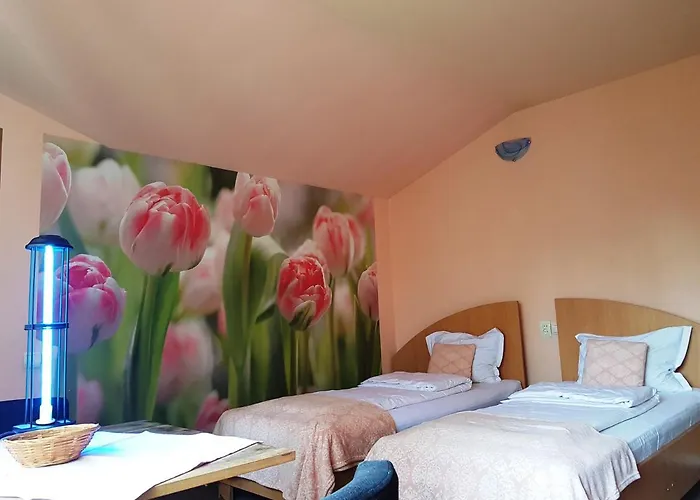 Pensiunea Paloma 3 Stele