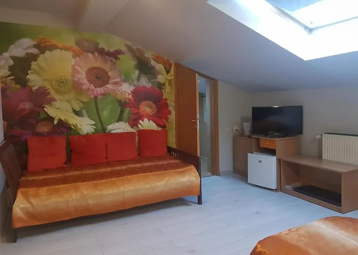 Pensiunea Paloma 3 Stele