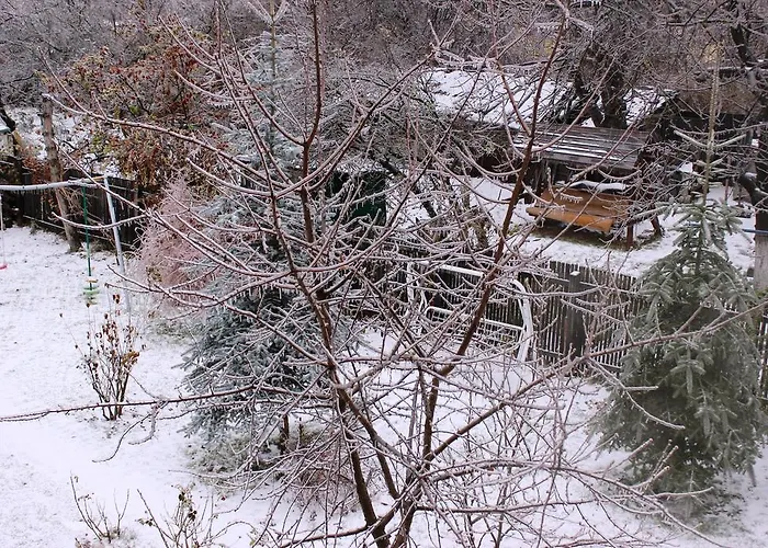 Guest house Pensiunea Paloma 3 Stele