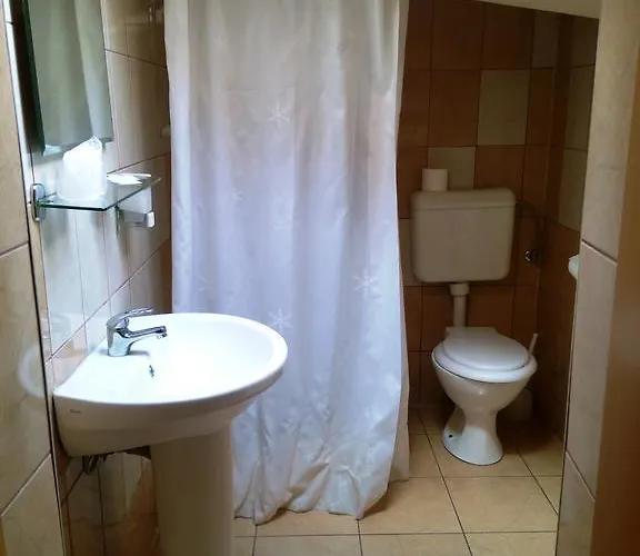 Guest house Pensiunea Paloma 3 Stele 3*