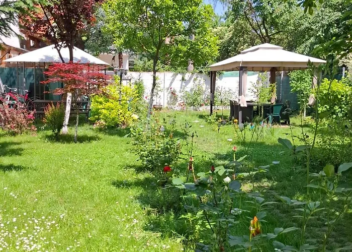 Guest house Pensiunea Paloma 3 Stele 3*