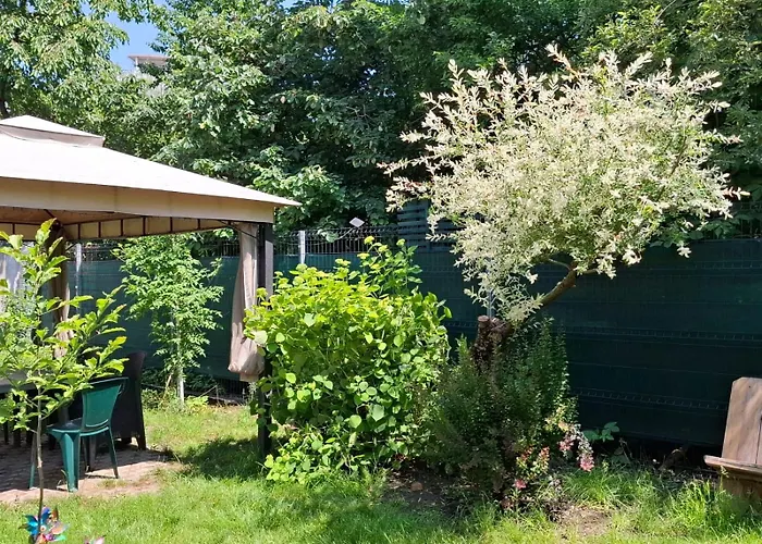 Pensiunea Paloma 3 Stele 3* Brasov