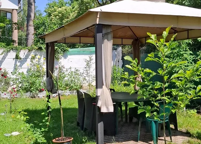 Pensiunea Paloma 3 Stele Guest house