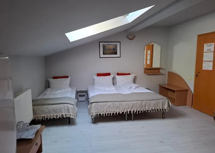 Guest house Pensiunea Paloma 3 Stele 3*