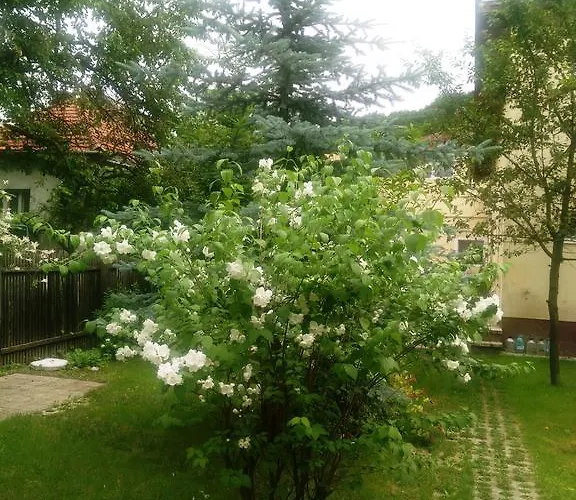 Pensiunea Paloma 3 Stele Braşov