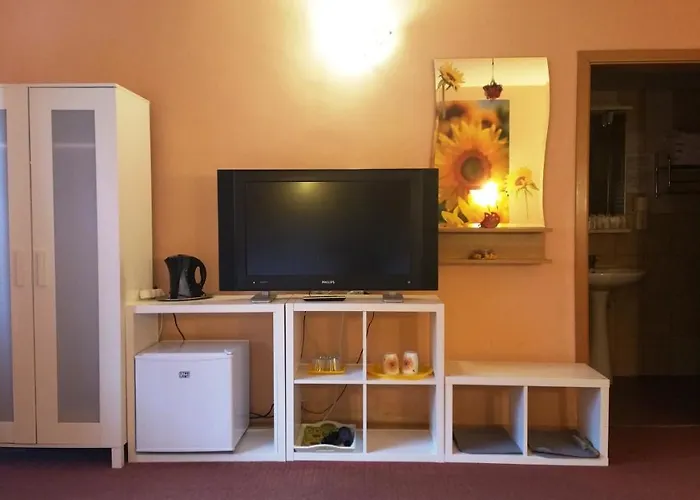 Pensiunea Paloma 3 Stele Pensionat Braşov