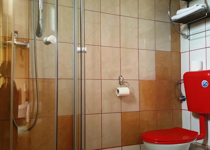 Pensiunea Paloma 3 Stele Guest house 3*