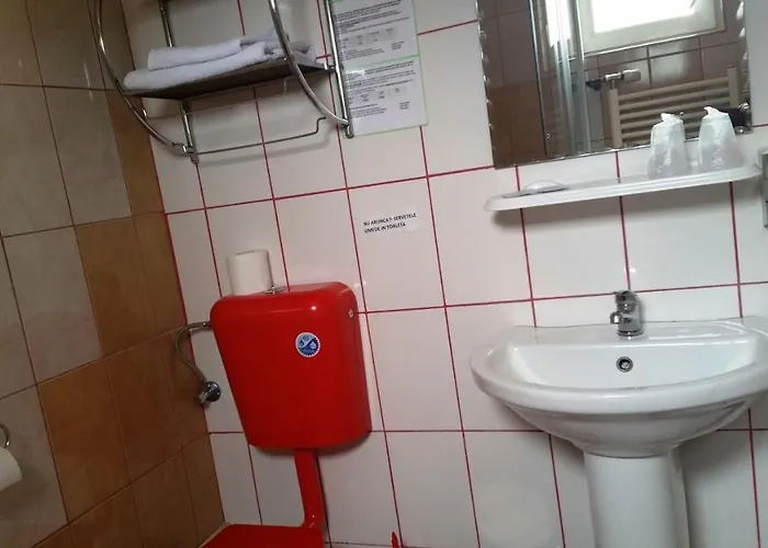 Pensiunea Paloma 3 Stele Guest house Brasov