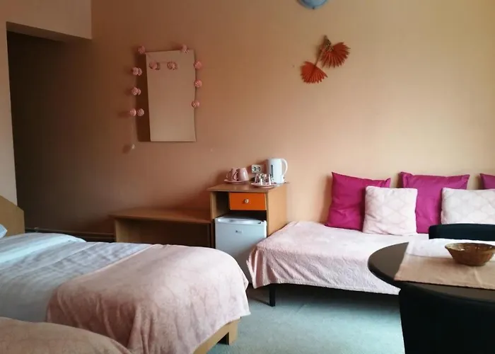 Pensionat Pensiunea Paloma 3 Stele Braşov